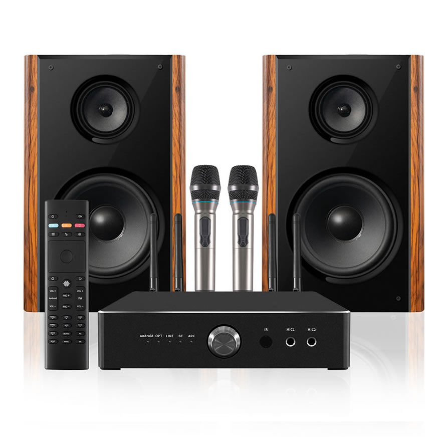 Enceinte de Karaoké Maison Professionnelle 300W Haute Puissance | iHomeLife-HLQ Audio HiFi pour KTV Maison, Home Cinéma et Petites Représentations